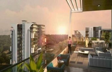 Luxury Penthouse for Sale in Oxirich Chintamani Gurgaon