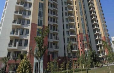 2 Bhk Flat for Rent Unitech Harmony Sector 50 Gurgaon